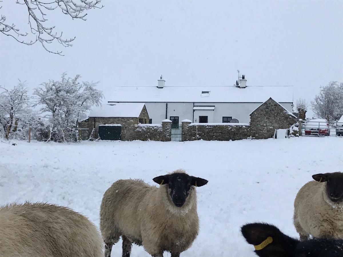 Mournes Family Cottage With Hot Tub Hilltown Bagian luar foto