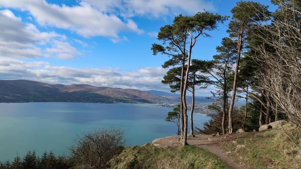 Mournes Family Cottage With Hot Tub Hilltown Bagian luar foto